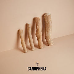 Canophera Coffee wood dog chew sticks for regular chewers