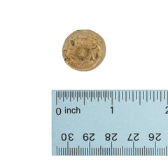 Wonderful World of Treats for Dogs