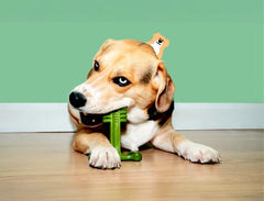 Bamboodles T-Bone Dog Chew Toy