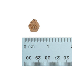 Wonderful World of Treats for Dogs