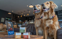 Sir Woofchester Treat boxes 2 of each flavour treat pot