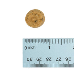 Wonderful World of Treats for Dogs