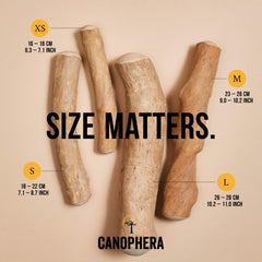 Canophera Coffee wood dog chew sticks for regular chewers