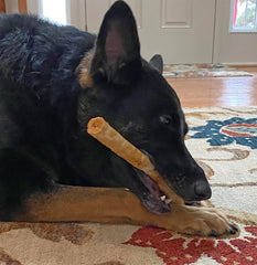 Fieldcrest Farms Nothing to hide Collegan Dog Chews (5", Beef)