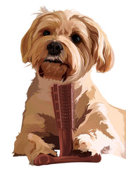 Bamboodles T-Bone Dog Chew Toy