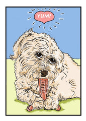 Bamboodles T-Bone Dog Chew Toy