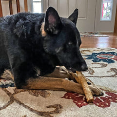 Nothing to hide Collegan Dog Chews (5", Chicken)