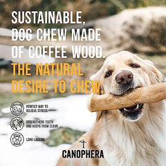 Canophera Coffee wood dog chew sticks for regular chewers