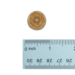 Wonderful World of Treats for Dogs