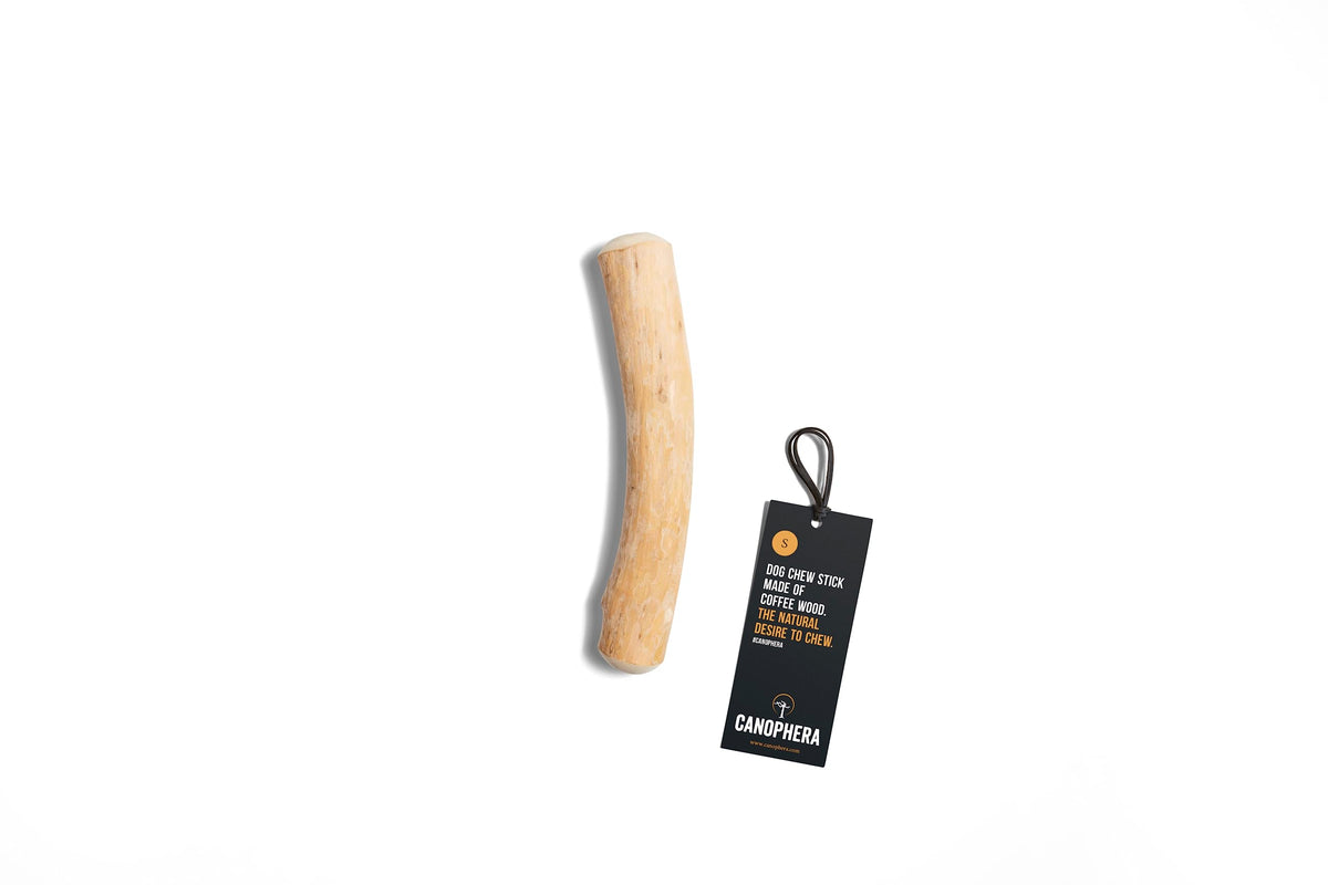 Canophera Coffee wood dog chew sticks for regular chewers