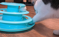 Doc & Phoebe Forever Fun Track Cat Toy