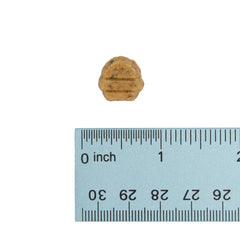 Wonderful World of Treats for Dogs