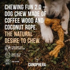 Canophera Dog CHEW Made of Coffee Wood and Coconut Rope