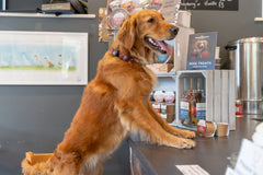 Sir Woofchester's Bark Bangers pot x5 sausages