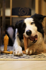 Bamboodles T-Bone Dog Chew Toy