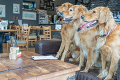 Sir Woofchester's Sleepy Bones bed time treats 42.5g