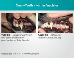 Cleanyteeth Ultrasonic Dog Toothpaste – Toothpaste for Dogs to Use with Dog Toothbrush for Tartar Removal – Puppy Toothbrush and Paste Alternative – Teeth Cleaning Products for All Breeds