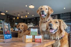 Sir Woofchester Bark Burgers 47g - multi buy 8 pots