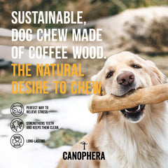 Canophera Coffee wood dog chew sticks for regular chewers