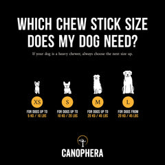 Canophera Coffee wood dog chew sticks for regular chewers