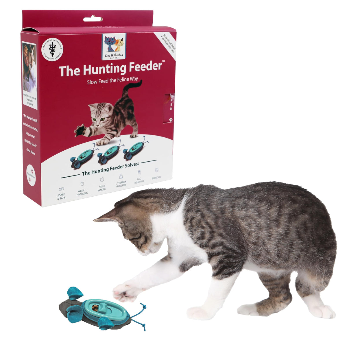 Doc & Phoebe Indoor Hunter Katzen Napf interaktiv