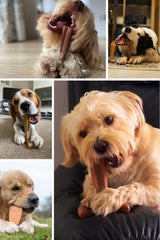 Bamboodles Puppy chews with Chicken flavour - for aggressive little chewers