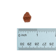 Wonderful World of Treats for Dogs