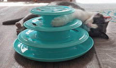 Doc & Phoebe Forever Fun Track Cat Toy